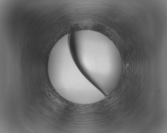 X0000073390772200607280908