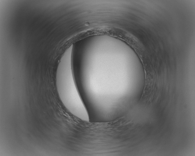 X0000073390773200607280908