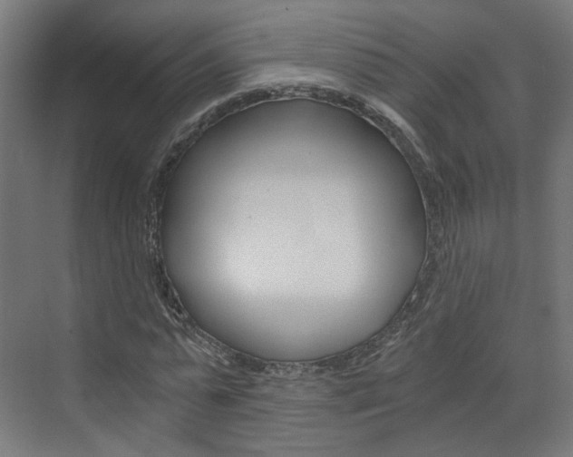 X0000073390775200607280908