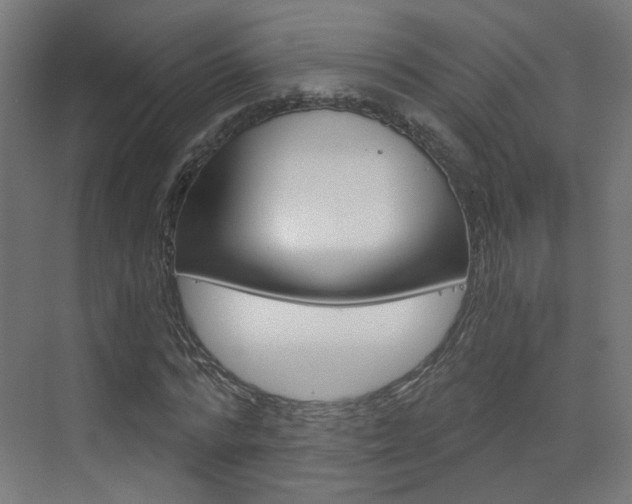 X0000073390776200607280908