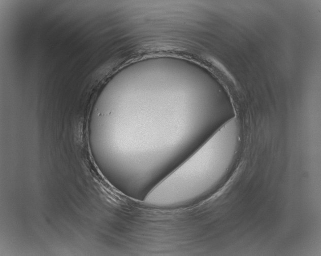 X0000073390777200607280908