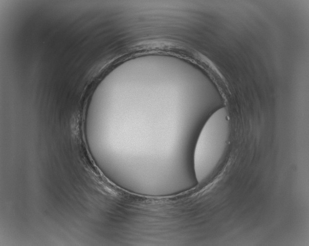 X0000073390778200607280908