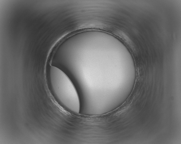 X0000073390780200607280908