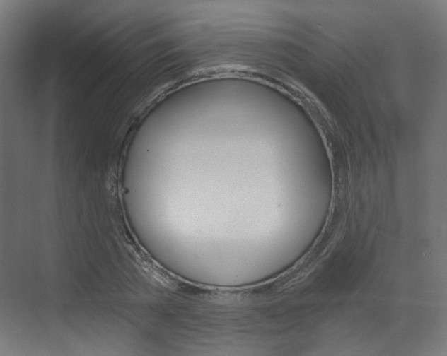 X0000073390785200607280908