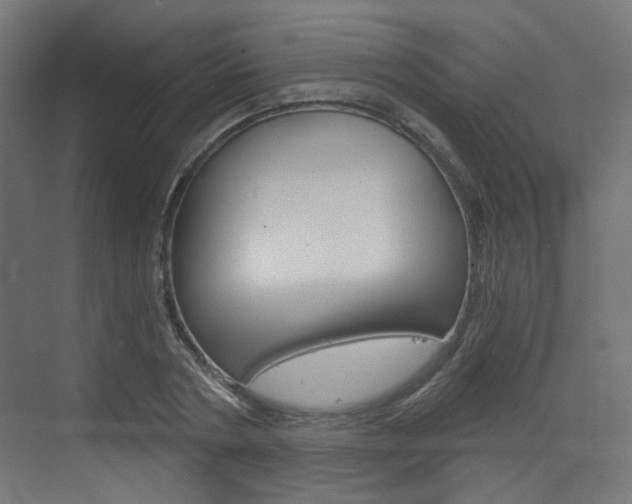 X0000073390786200607280908