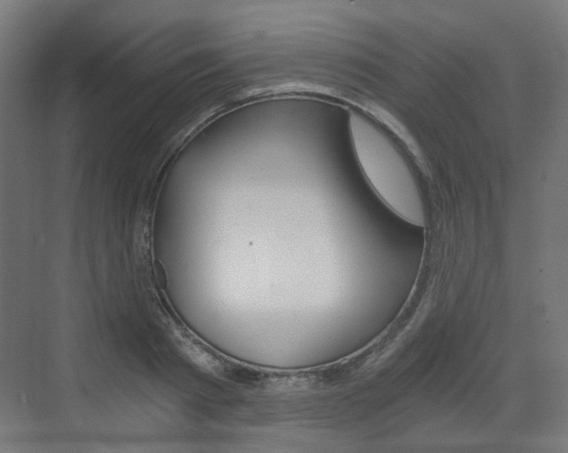 X0000073390793200607280908
