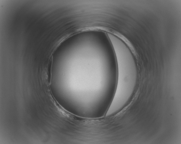 X0000073390809200607280907