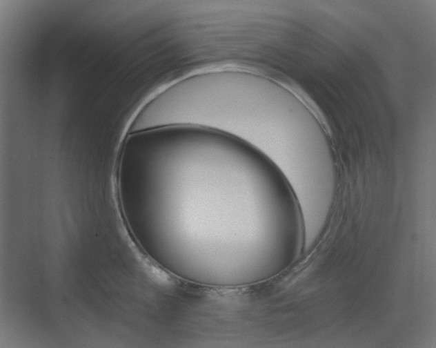 X0000073390813200607280907