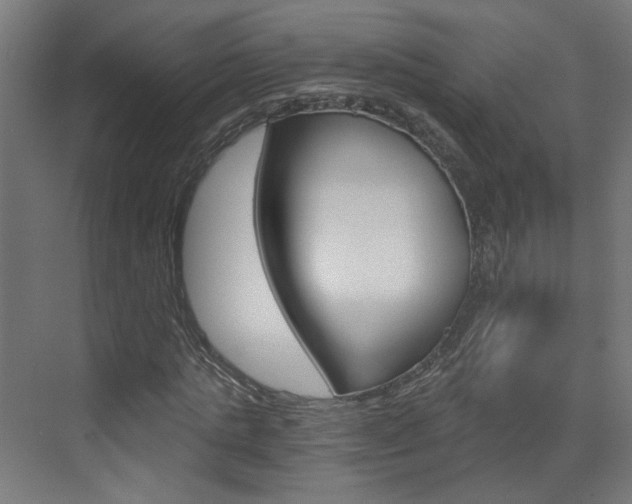 X0000073390821200607280906
