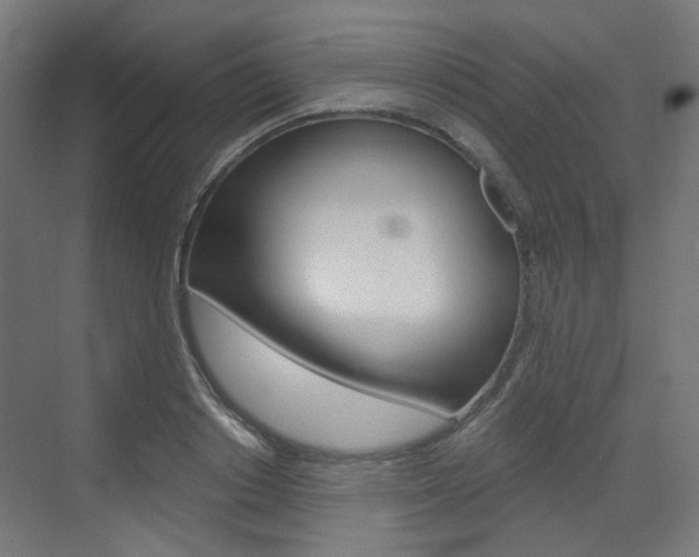 X0000073390842200607280907