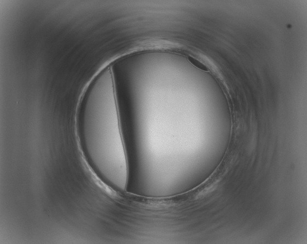 X0000073390843200607280907