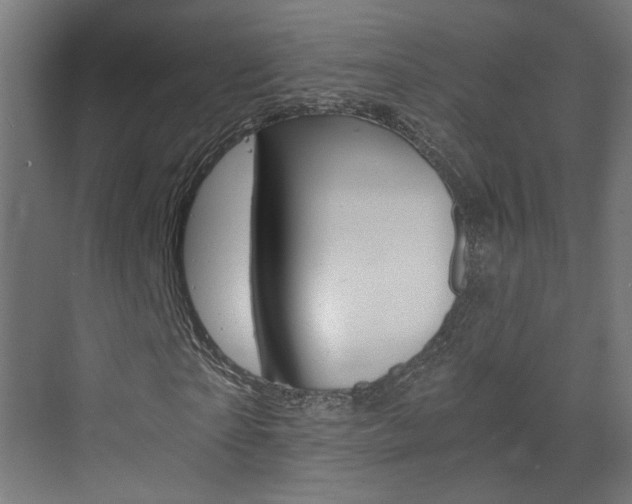 X0000073390865200607280906