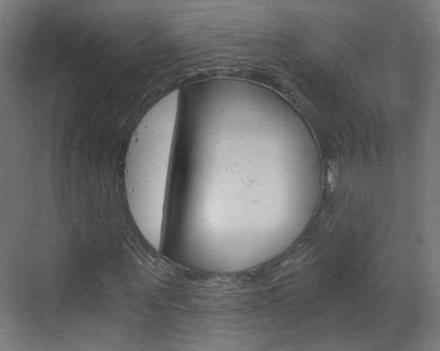 X0000073390867200607280906