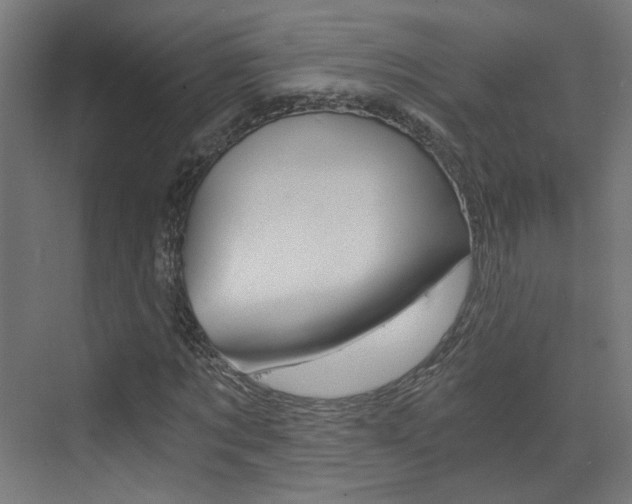 X0000073390869200607280906