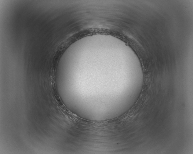 X0000073390870200607280906
