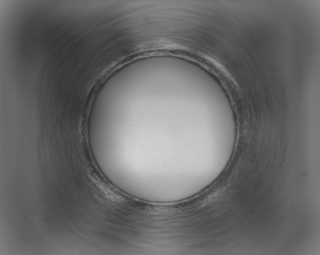 X0000073390873200607280906