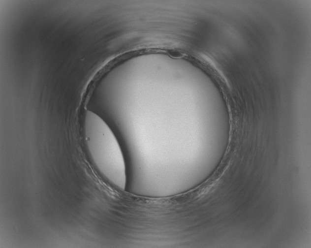 X0000073390875200607280906