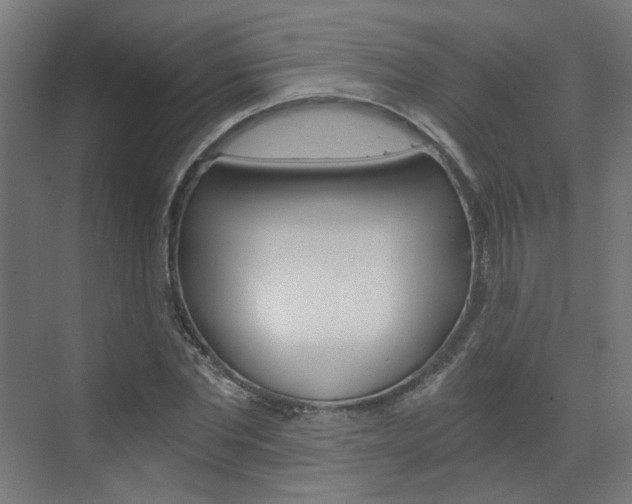 X0000073390877200607280906