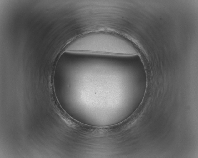 X0000073390881200607280906