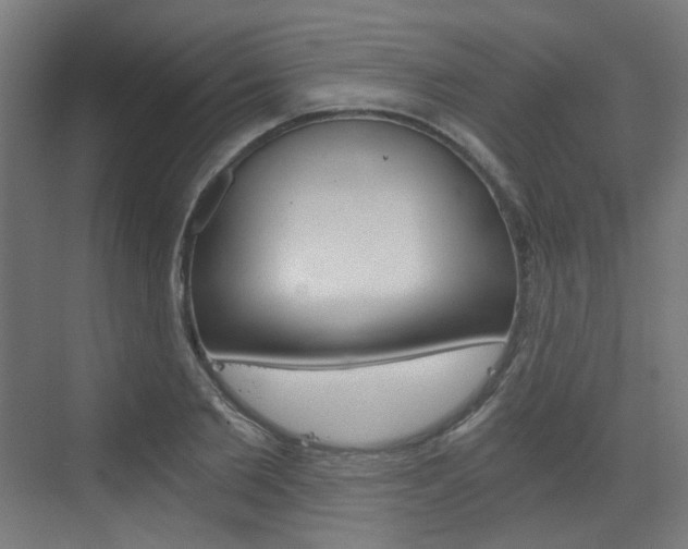 X0000073390885200607280906