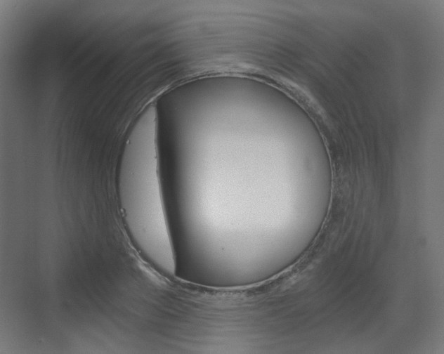 X0000073390889200607280906