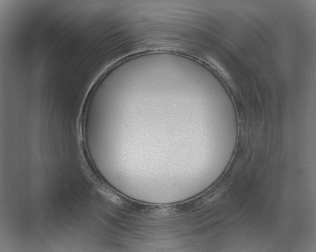 X0000073390891200607280906