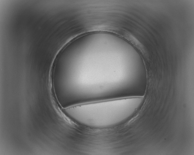 X0000073390892200607280906
