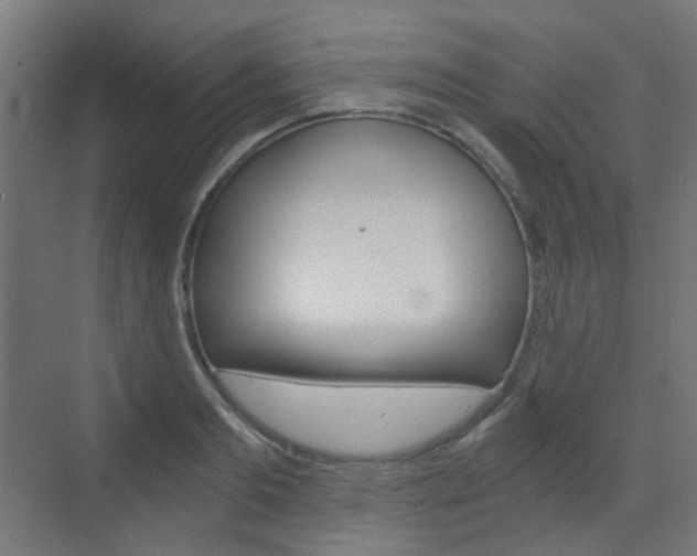 X0000073390893200607280906