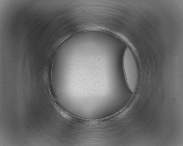 X0000073390897200607280906