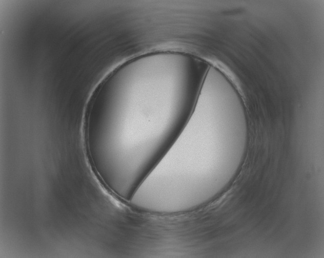 X0000073390902200607280906