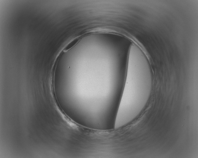 X0000073390909200607280906