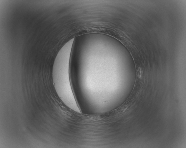 X0000073390915200607280905