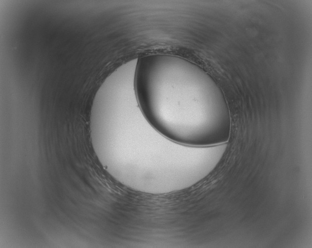 X0000073390916200607280905