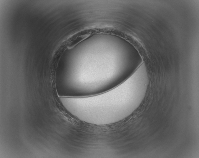 X0000073390920200607280905