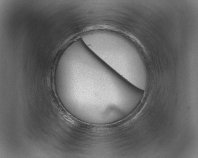 X0000073390921200607280905