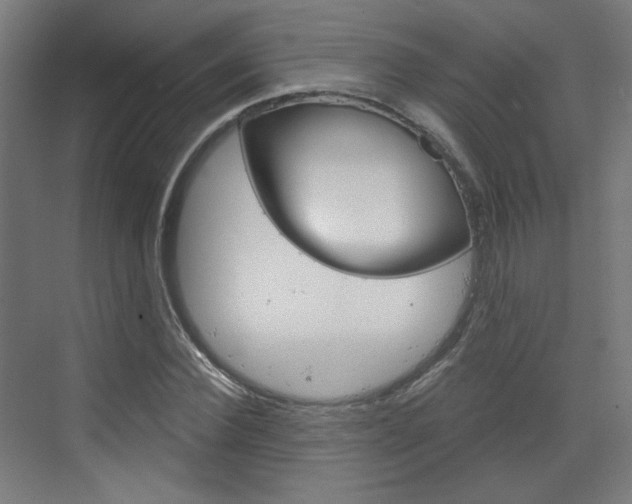 X0000073390924200607280905