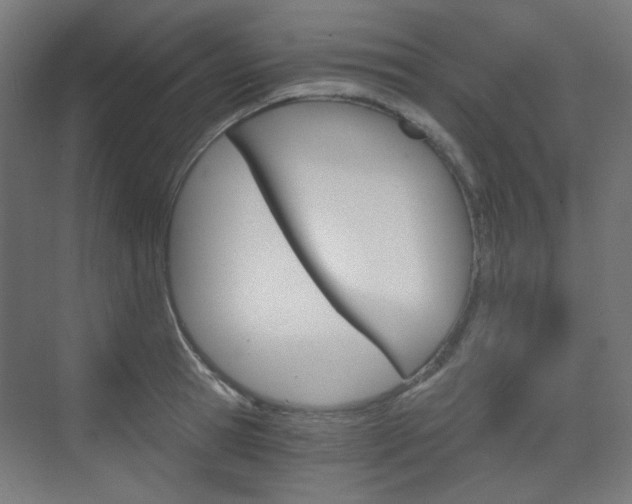 X0000073390945200607280905