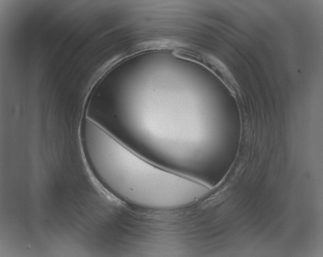 X0000073390946200607280905