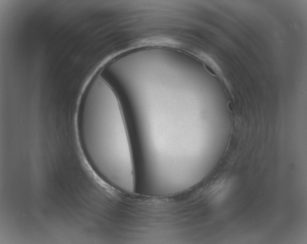 X0000073390947200607280905