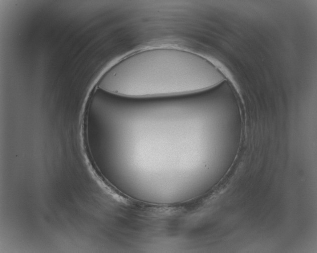 X0000073390949200607280905