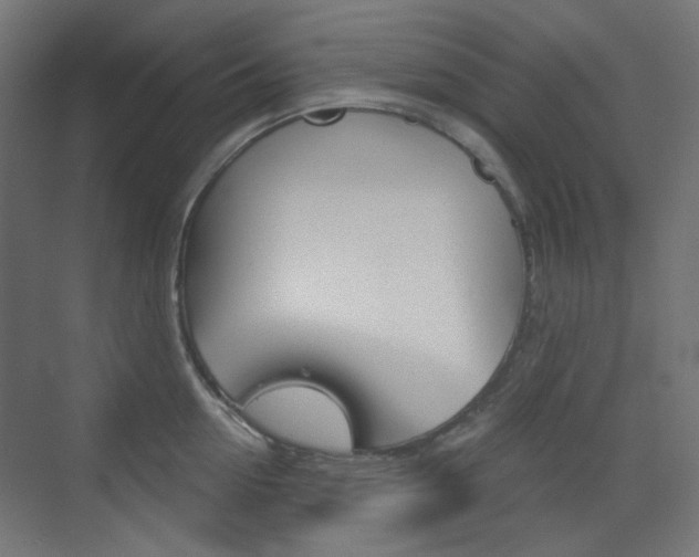 X0000073390954200607280905