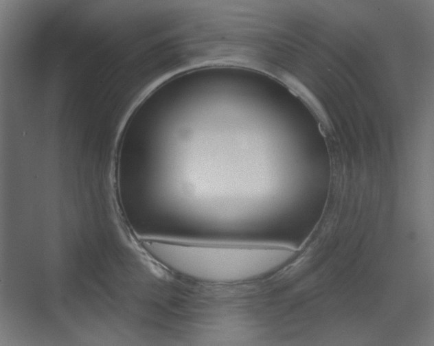 X0000073390956200607280906