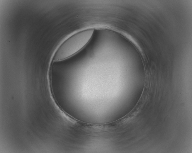X0000073390959200607280906