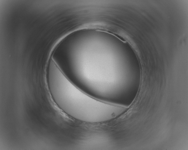 X0000073390960200607280906