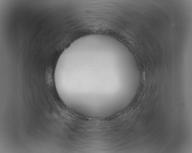 X0000073390963200607280905