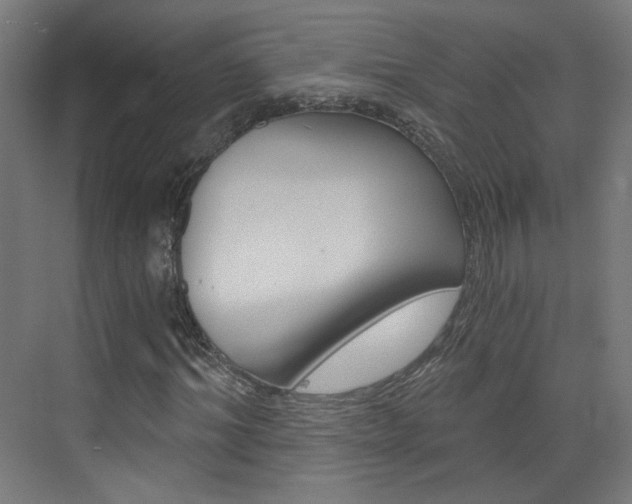 X0000073390964200607280905