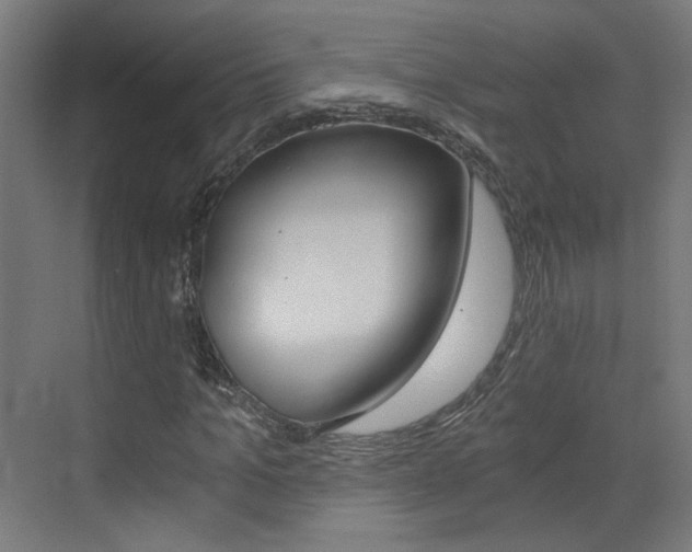 X0000073390965200607280905