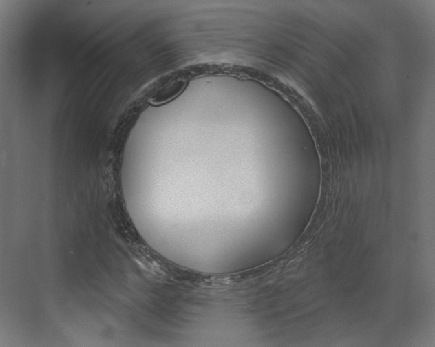 X0000073390968200607280905