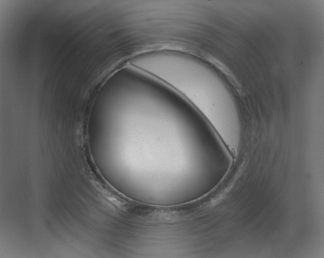 X0000073390977200607280905