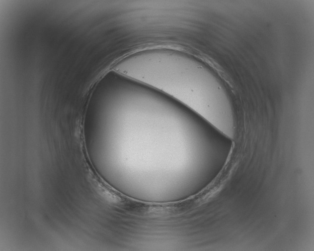X0000073390985200607280904